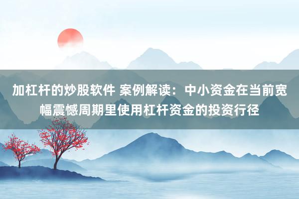 加杠杆的炒股软件 案例解读:中小资金在当前宽幅震憾周期里使用杠杆资金的投资行径